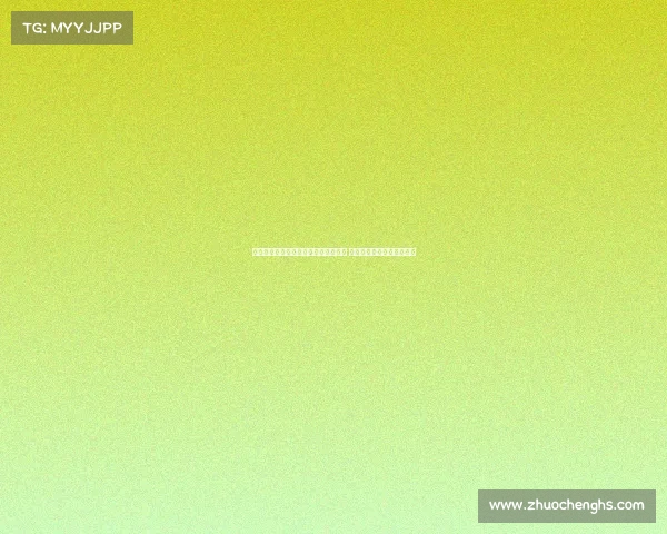 神舟二十号载人飞船返回任务推迟进行 中国航天计划调整再度提速